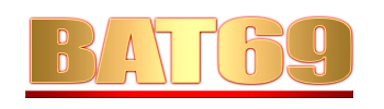 Logo Bat69